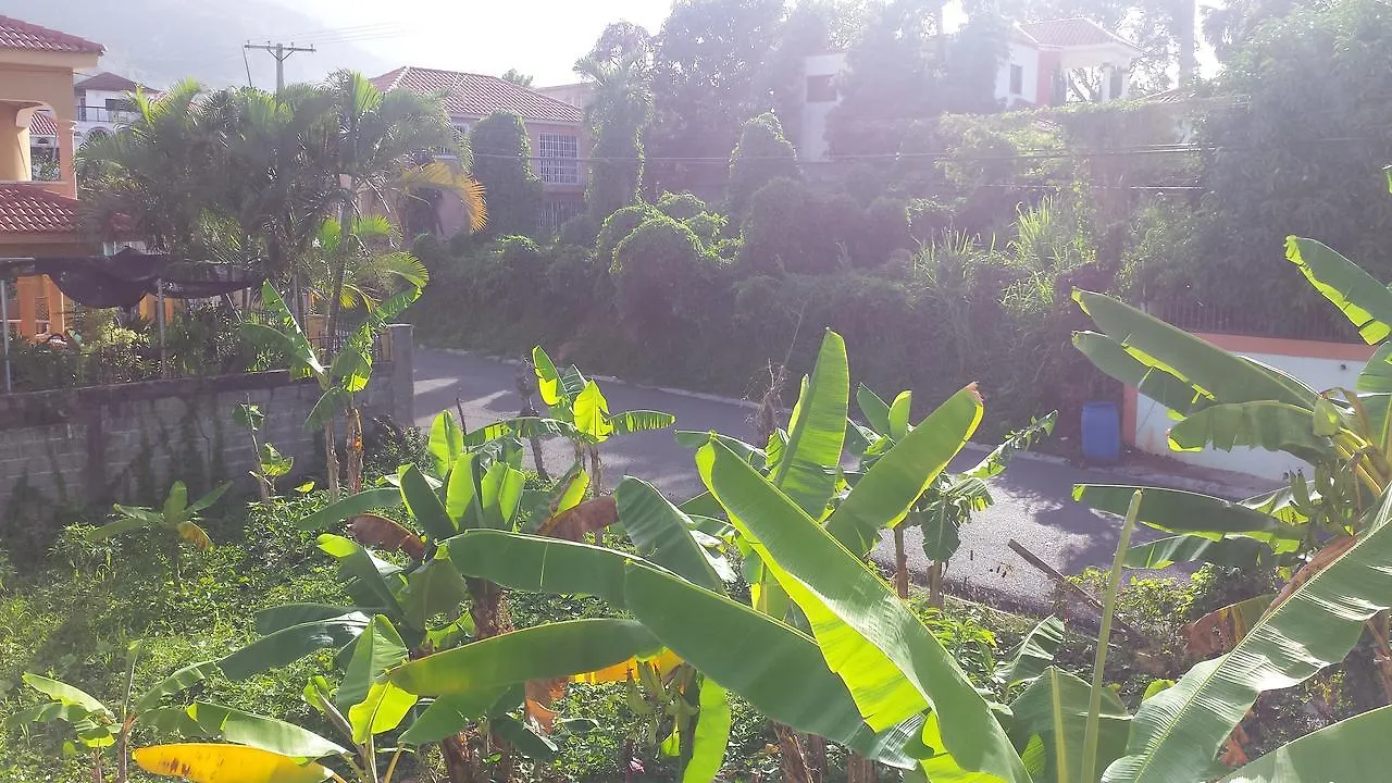 Bed & Breakfast Elisabeth Bed and Breakfast San Felipe de San Felipe de Puerto Plata